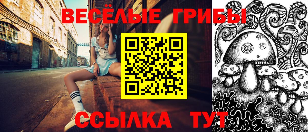 Кимовск  Галлюциногенные грибы Magic Shrooms  Вход с VPN 